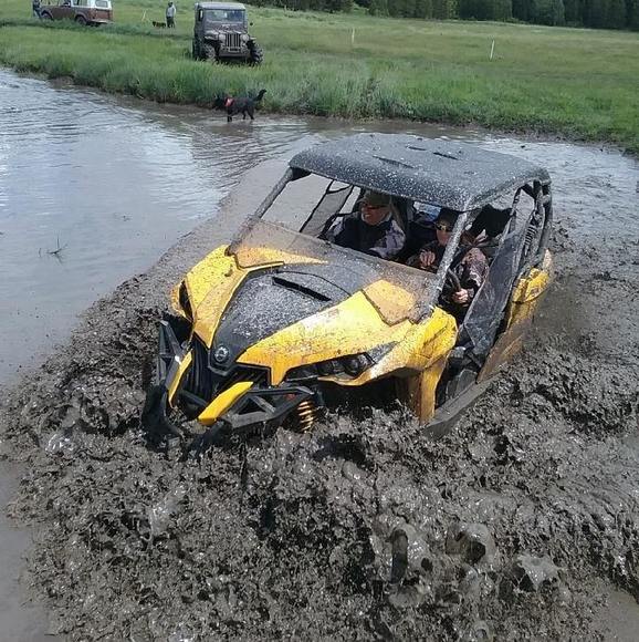 ryja79
